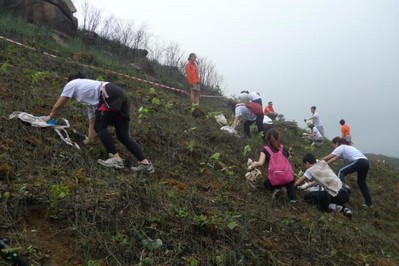 今年逾700人報名參加，為一幅去年被山火燒去大范圍林木的山坡種植約6,000棵樹苗。